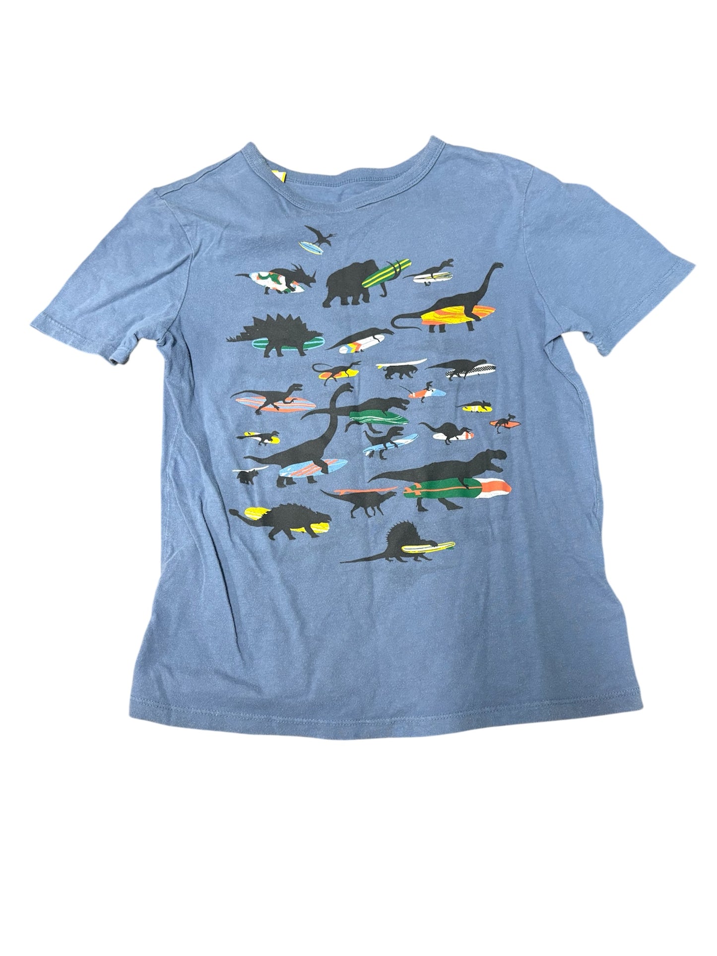 Surfing Dinosaurs size Medium
