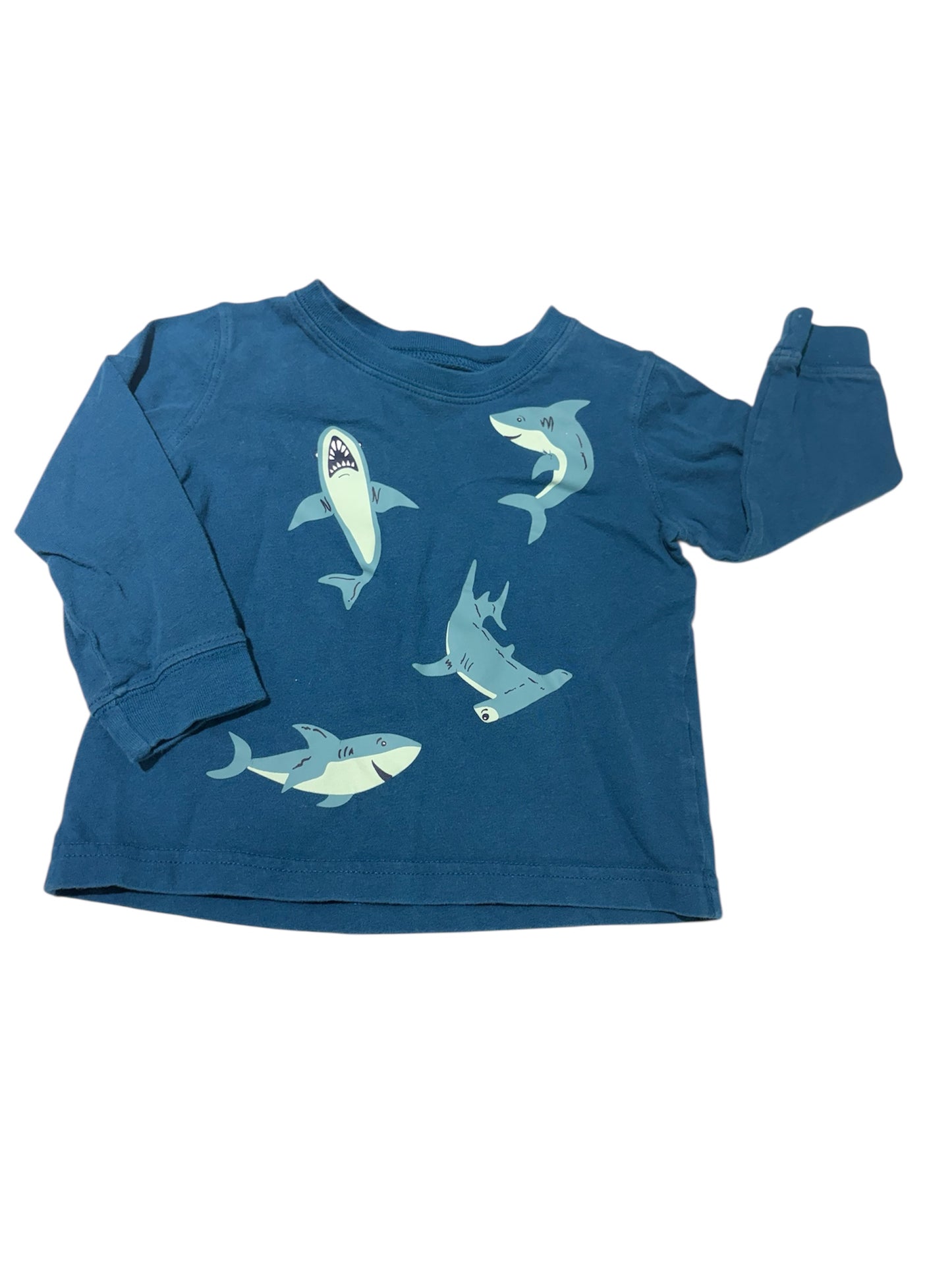 Sharks 18m