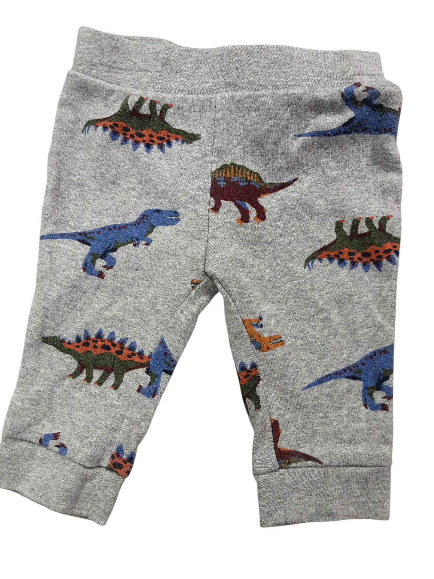 Gray dinosaurs size 3-6m