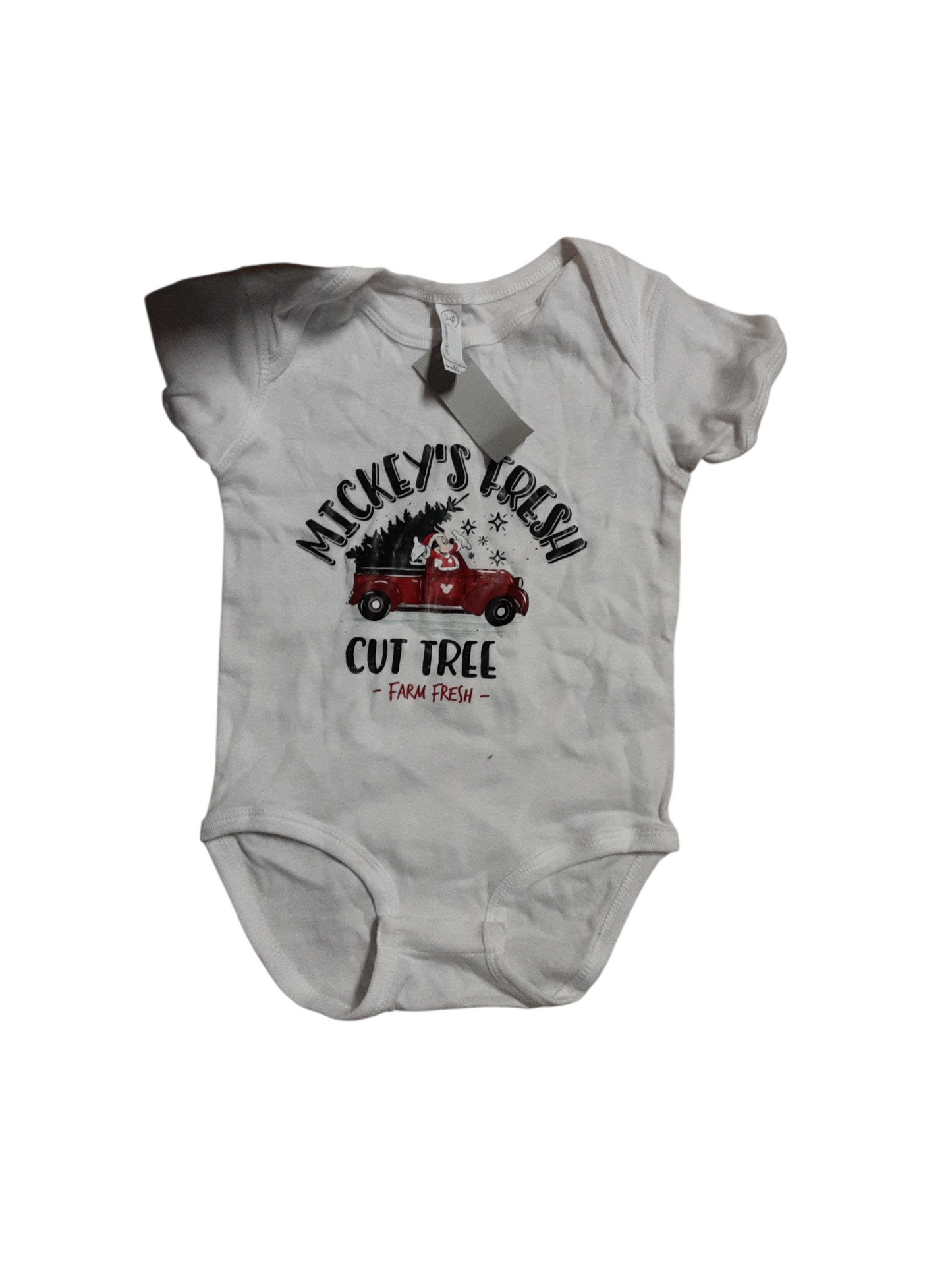 Mickey's Fresh cut tree size 24m