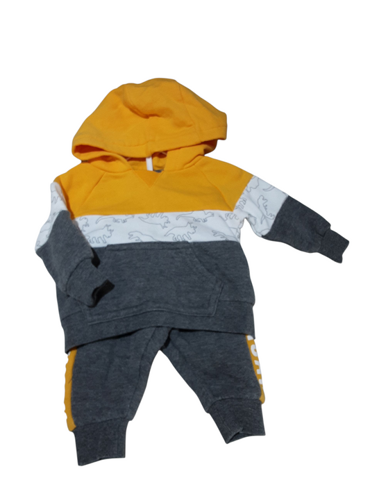 Dino print 2 pc set 0-3m
