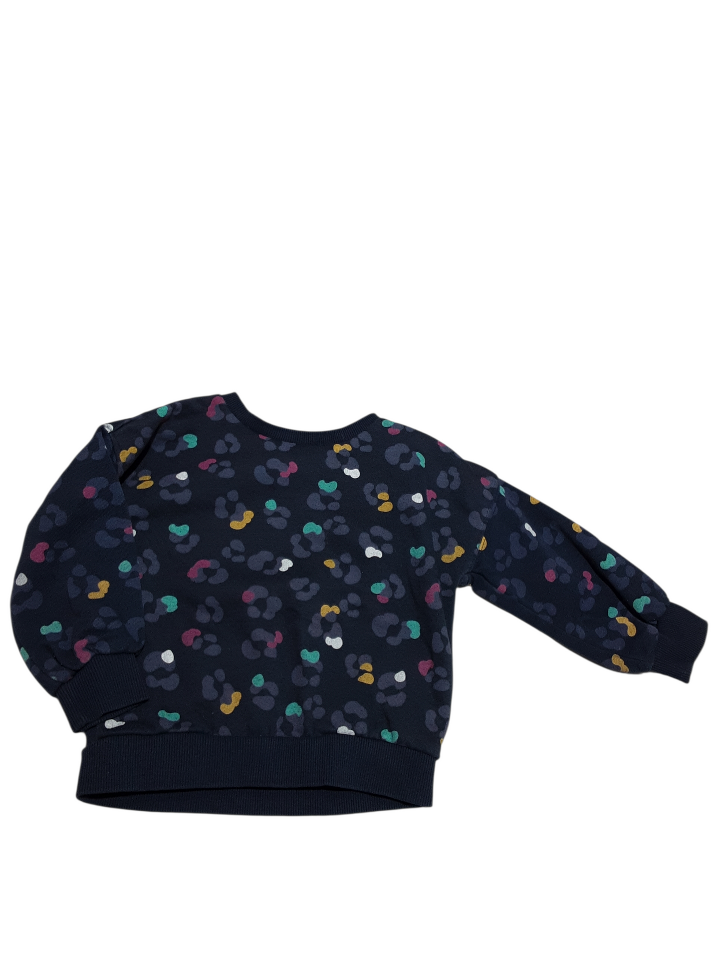 Colorful leopard print top 2t