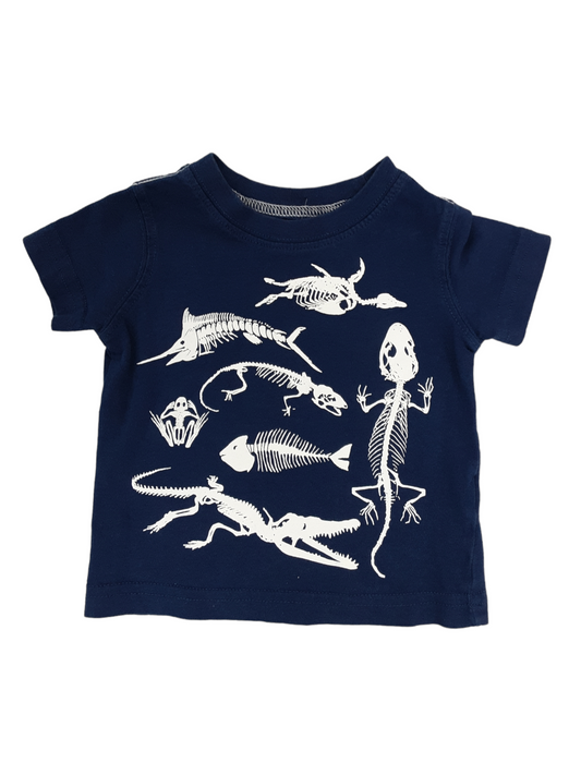 Skeleton tee size 3m