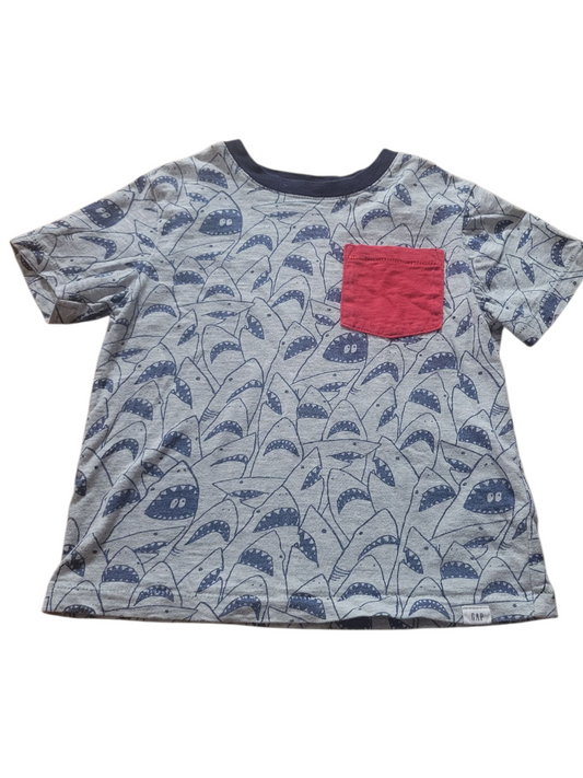 Shark Gap size 4