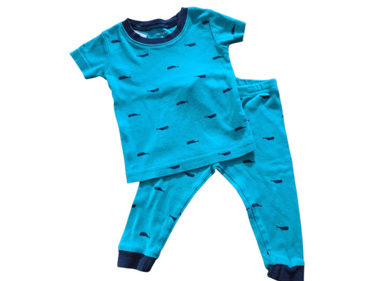 Whale sz 6m