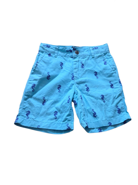 Seahorse sz 6