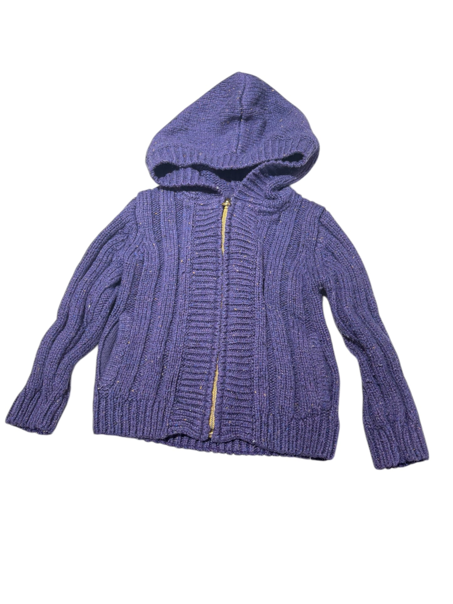 Purple sweater with gold zipper 2T