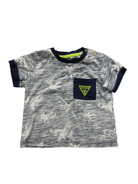 White palm trees size 12m