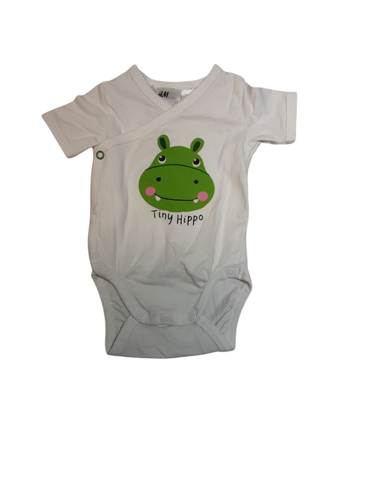 Tiny Hippo size 2-4m