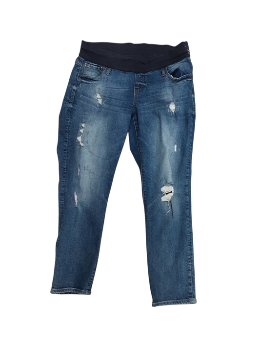Distressed 5 pocket sz med (12/14)