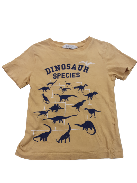 Dinosaur species, size 4-6