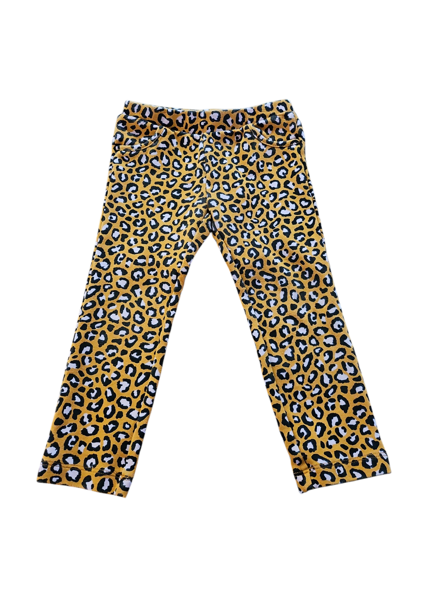 Cheetah size 3