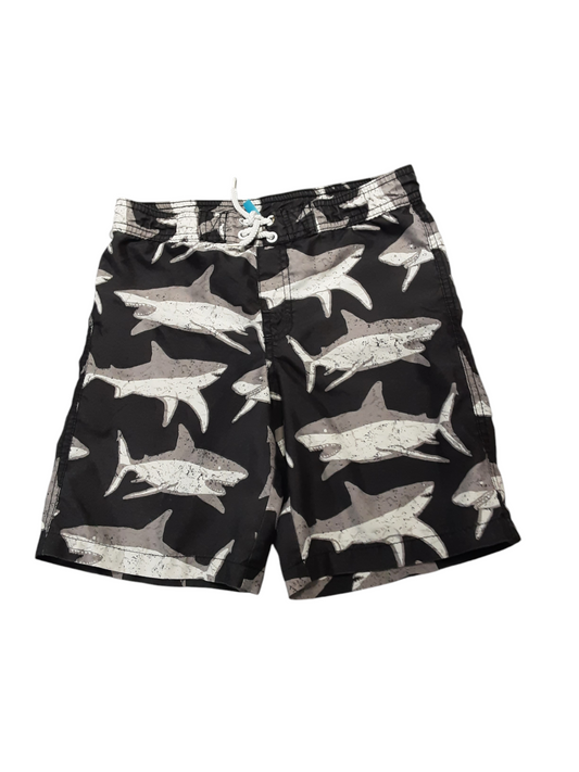 Shark trunks sz 6/7