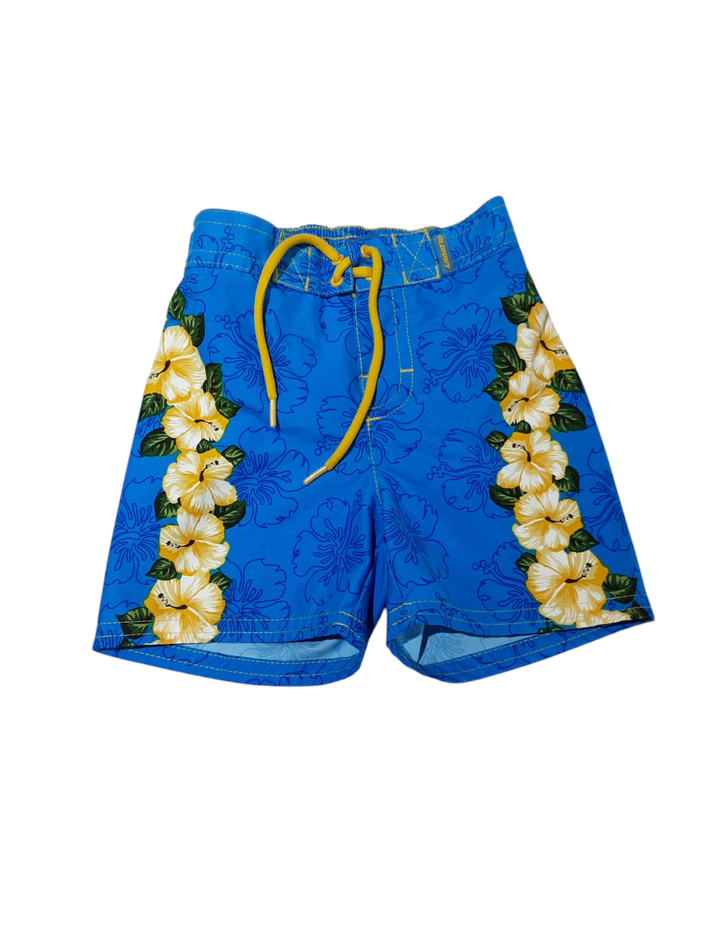 Hibiscus flower trunks size 3-6m