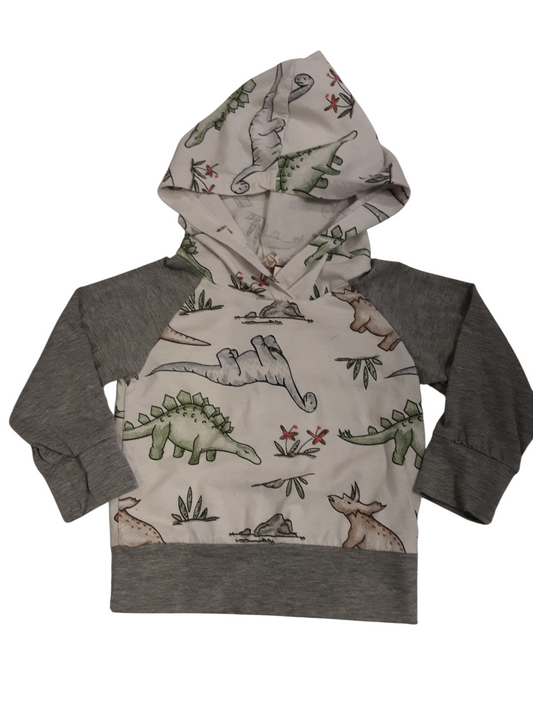 Dinosaur 🦕 hooded top, size 6months