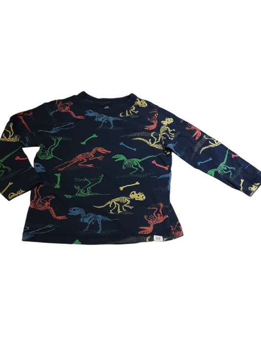Dinosaur Top size 3