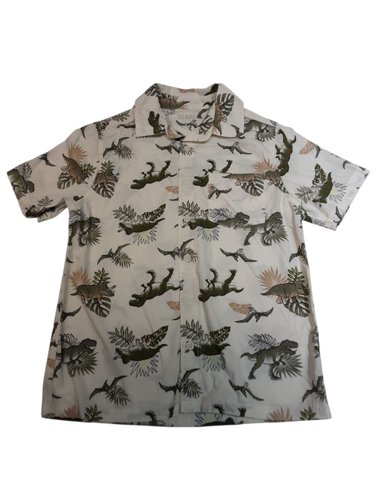 Land of the Dinosaurs size 8