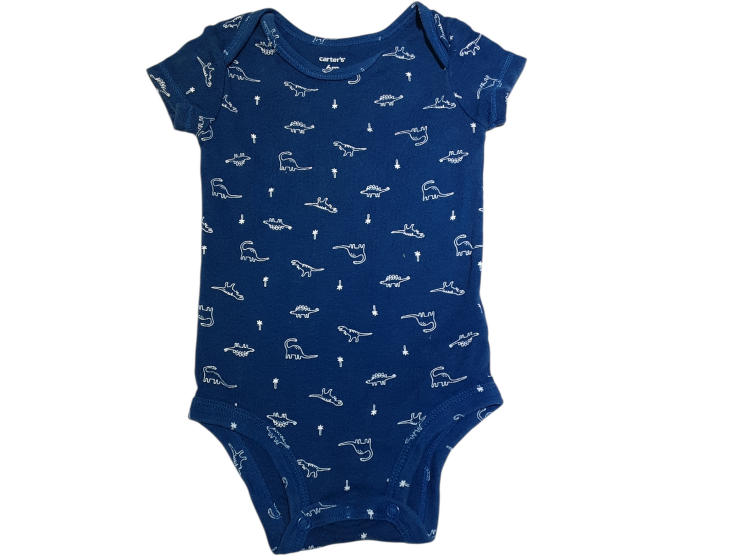 Mini dinosaurs size 6m