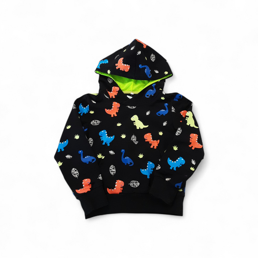 Dinosaur Hoodie - Size 4